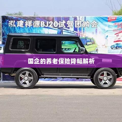 国企养老保险降幅深度解析-图1 国企养老保险降幅深度解析-图1