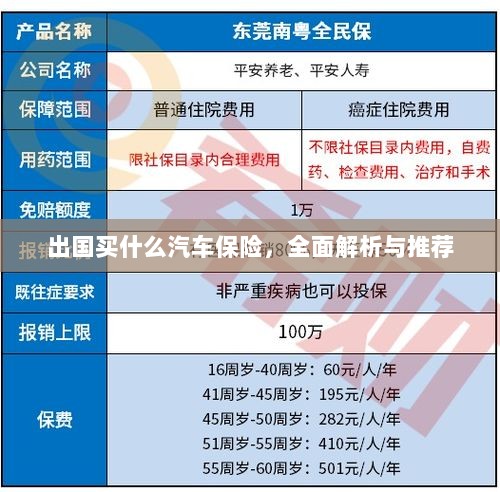 全面解析与推荐，出国应该购买哪些汽车保险？-图1