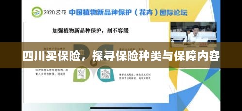 四川保险探秘，种类与保障内容全解析-图1