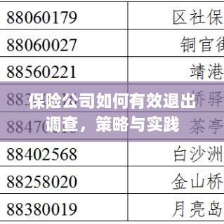 保险公司有效退出调查的策略与实践探讨-图1