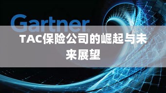 TAC保险公司的崛起及未来展望-图1 TAC保险公司的崛起及未来展望-图1