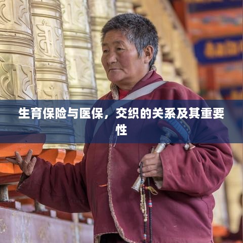 生育保险与医保,交织关系及其重要性解析-图1 生育保险与医保,交织关系及其重要性解析-图1