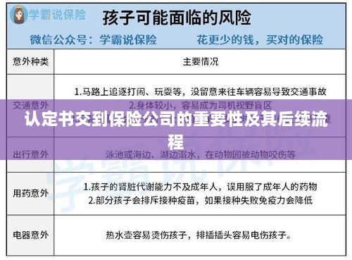 认定书对保险公司的重要性及后续流程详解-图1