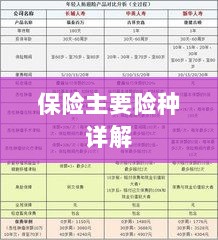 保险主要险种详解概览-图1
