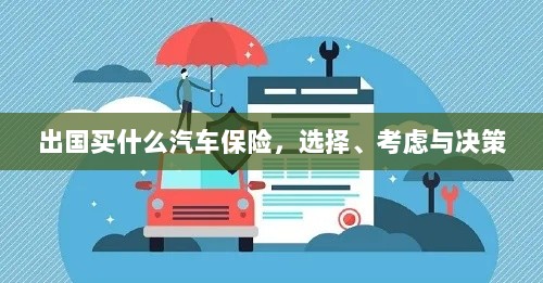 出国购车保险指南，选择、考虑与决策要素-图1