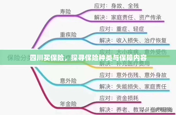 四川保险探秘,种类与保障内容全解析-图1 四川保险探秘,种类与保障内容全解析-图1