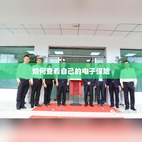 如何查看个人电子保险保单详情-图1 如何查看个人电子保险保单详情-图1