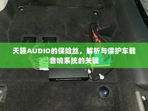 天籁AUDIO保险丝，解析与保护车载音响系统的核心要素-图1