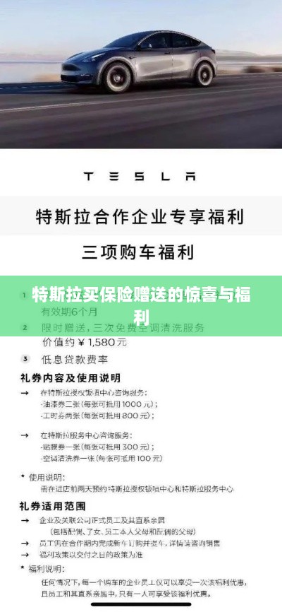 特斯拉保险购买赠品与惊喜福利概述-图1