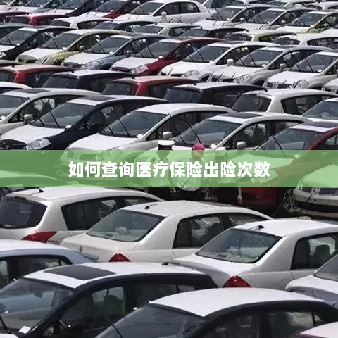 医疗保险出险次数查询攻略-图1 医疗保险出险次数查询攻略-图1