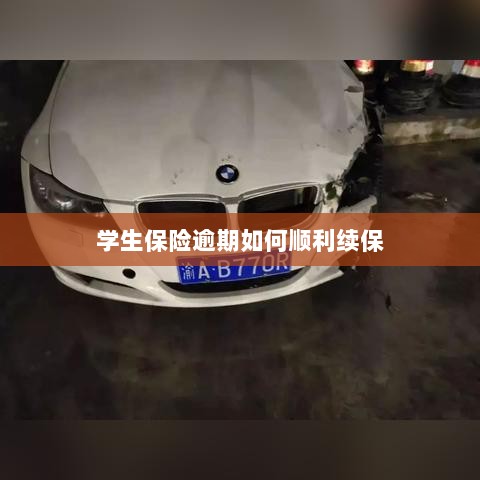 学生保险逾期续保攻略,顺利过渡无忧保障-图1 学生保险逾期续保攻略,顺利过渡无忧保障-图1