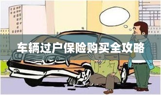 车辆过户保险购买指南，全攻略概览-图1