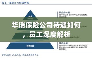 华瑞保险公司员工待遇深度解析-图1 华瑞保险公司员工待遇深度解析-图1