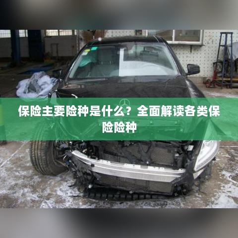 全面解读保险主要险种,各类保险险种介绍与解析-图1 全面解读保险主要险种,各类保险险种介绍与解析-图1