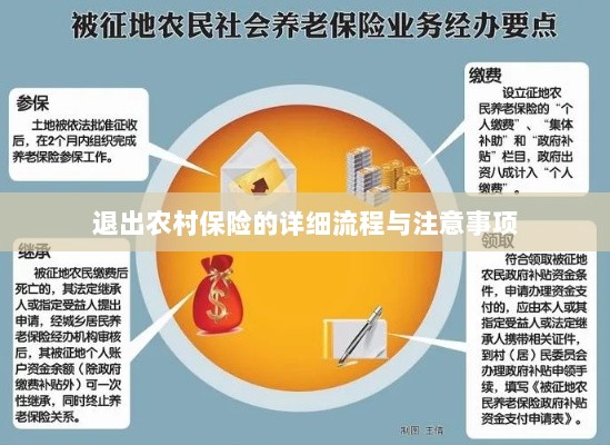 退出农村保险的详细流程与注意事项全解析-图1