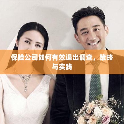 保险公司有效退出调查的策略与实践探讨-图1