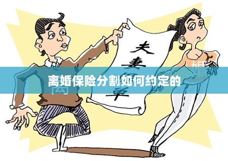 离婚保险分割约定详解-图1