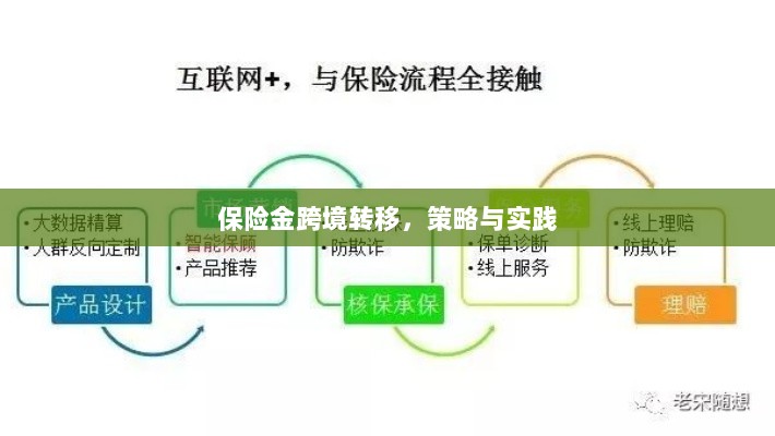 保险金跨境转移的策略与实践探讨-图1