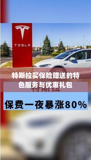 特斯拉保险特惠,专属服务与优惠礼包大放送-图1 特斯拉保险特惠,专属服务与优惠礼包大放送-图1