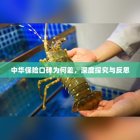 中华保险口碑深度探究与反思,原因何在?-图1 中华保险口碑深度探究与反思,原因何在?-图1