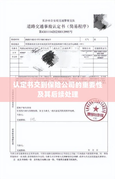 认定书交到保险公司的重要性及后续处理流程详解-图1