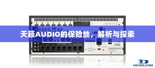 天籁AUDIO保险丝解析与探索-图1