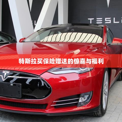 特斯拉保险购买赠品与惊喜福利概述-图1 特斯拉保险购买赠品与惊喜福利概述-图1