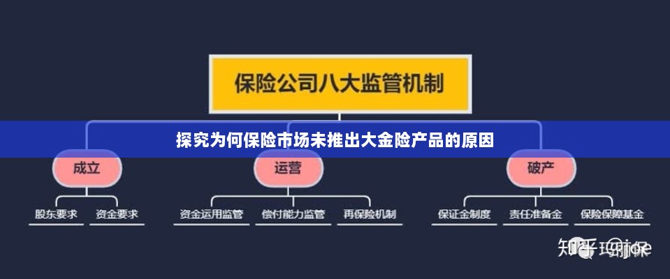 保险市场未推出大金险产品的原因探究-图1 保险市场未推出大金险产品的原因探究-图1