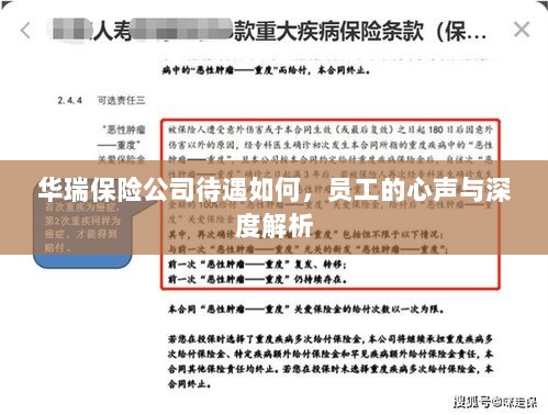 华瑞保险公司员工待遇及心声深度解析-图1