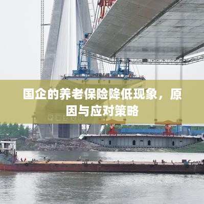 国企养老保险降低现象,原因探究与应对策略-图1 国企养老保险降低现象,原因探究与应对策略-图1