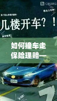 新手驾驶必备，撞车后的保险理赔指南-图1