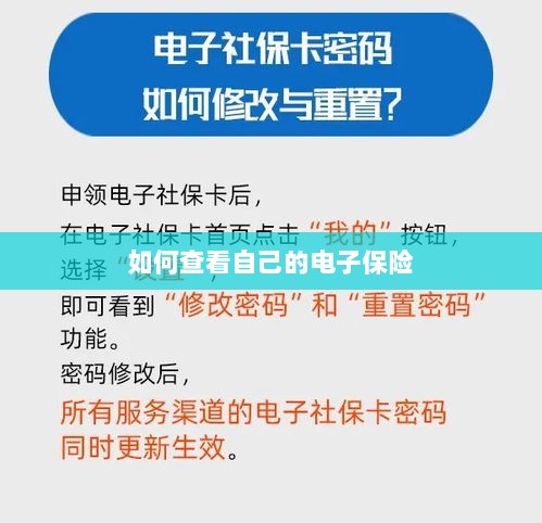 如何查看个人电子保险保单详情-图1 如何查看个人电子保险保单详情-图1