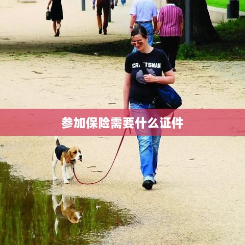 参加保险所需证件概览-图1 参加保险所需证件概览-图1
