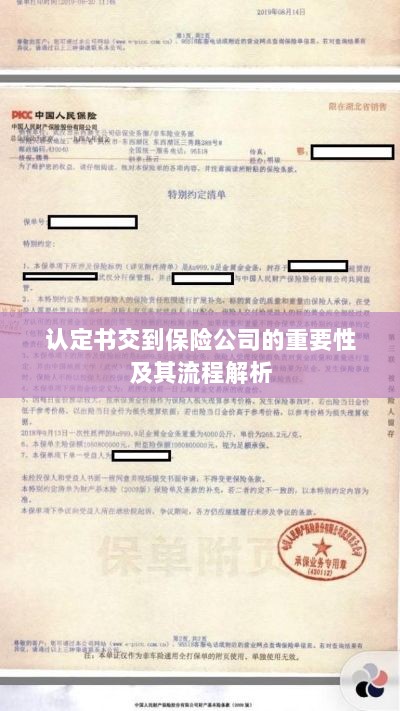 认定书交到保险公司的流程解析与重要性探讨-图1