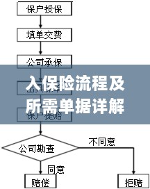 保险投保流程与所需单据全面解析-图1