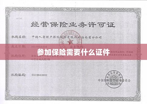 参加保险所需证件概览-图1