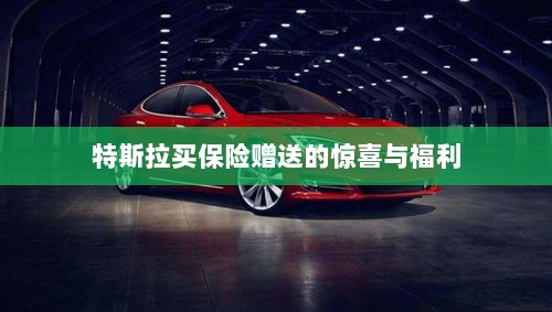 特斯拉保险购买赠品与惊喜福利概述-图1 特斯拉保险购买赠品与惊喜福利概述-图1
