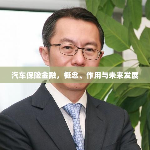 汽车保险金融,概念、功能及未来发展趋势-图1 汽车保险金融,概念、功能及未来发展趋势-图1
