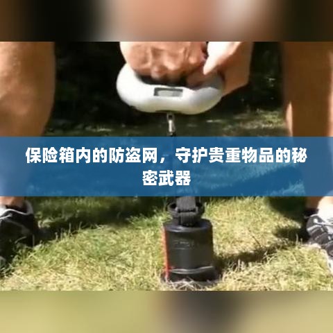 保险箱内防盗网，守护贵重物品的终极防线-图1