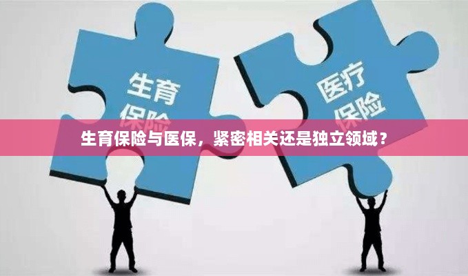生育保险与医保,紧密关联还是独立领域探讨?-图1 生育保险与医保,紧密关联还是独立领域探讨?-图1