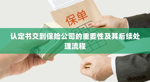 认定书对保险公司的重要性及后续处理流程详解-图1 认定书对保险公司的重要性及后续处理流程详解-图1