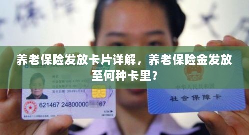 养老保险发放卡片详解,保险金发放至哪些卡里?-图1 养老保险发放卡片详解,保险金发放至哪些卡里?-图1