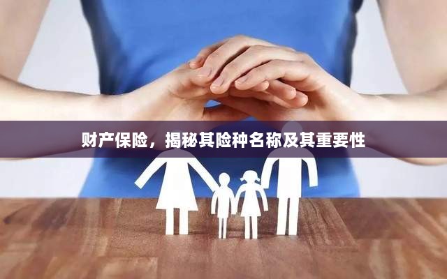 揭秘财产保险险种名称及其重要性,保障您的财产安全!-图1 揭秘财产保险险种名称及其重要性,保障您的财产安全!-图1