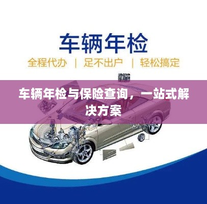 车辆年检与保险查询，一站式解决方案解析-图1