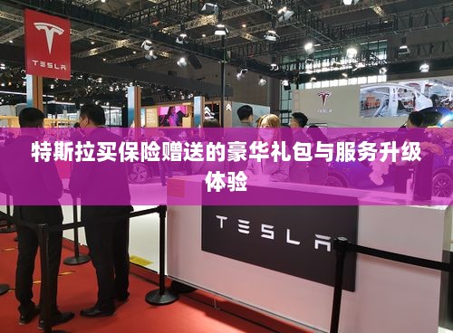 特斯拉保险赠品豪华礼包与服务升级体验揭秘-图1