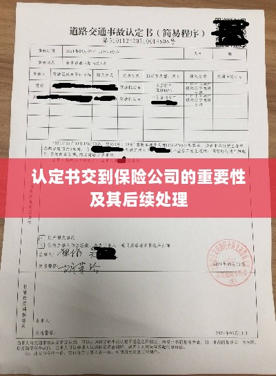 认定书交到保险公司的重要性及后续处理流程详解-图1