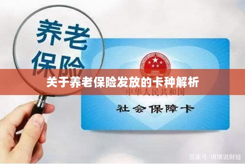 养老保险发放卡种深度解析-图1 养老保险发放卡种深度解析-图1