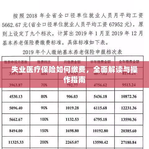 失业医疗保险缴费详解,全面解读与操作指南-图1 失业医疗保险缴费详解,全面解读与操作指南-图1