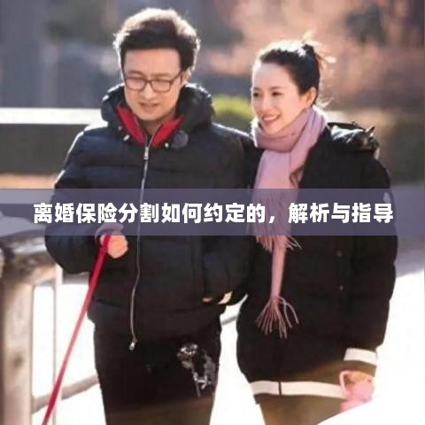 离婚保险分割约定详解与指导手册-图1 离婚保险分割约定详解与指导手册-图1