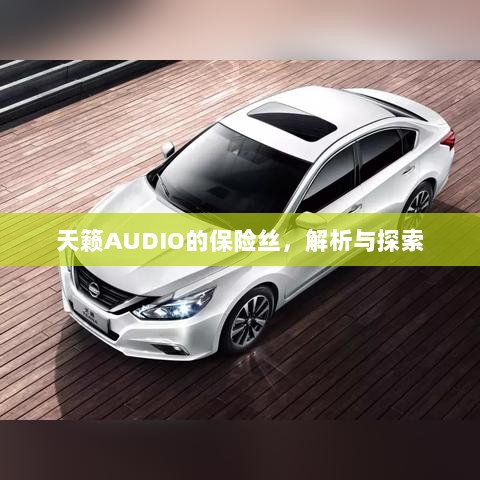 天籁AUDIO保险丝解析与探索-图1 天籁AUDIO保险丝解析与探索-图1
